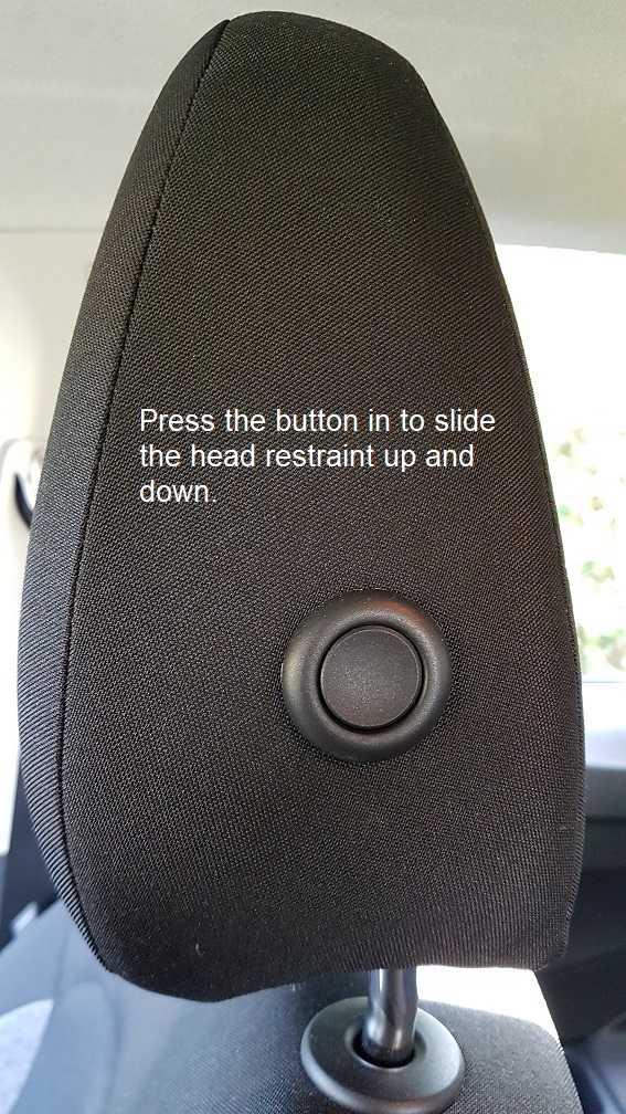 driving test head restraint