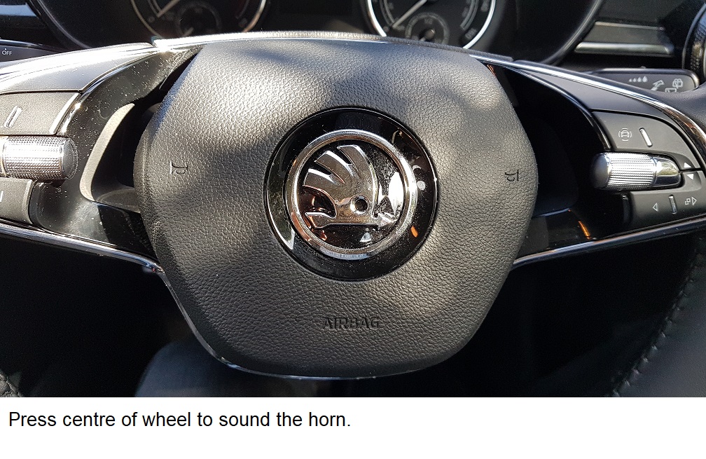 driving test horn